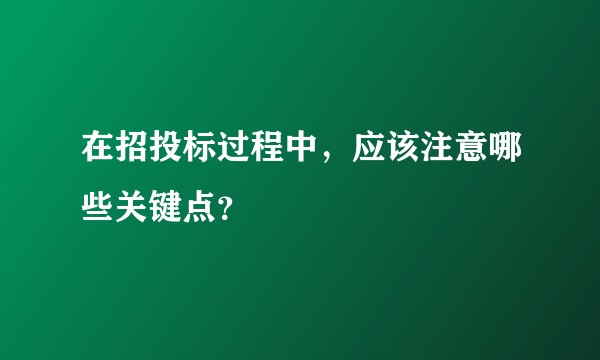 在招投标过程中，应该注意哪些关键点？