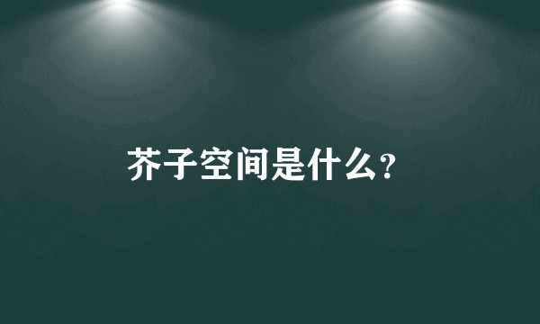 芥子空间是什么？