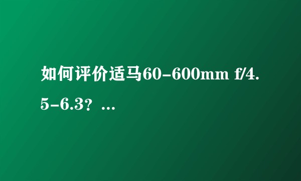 如何评价适马60-600mm f/4.5-6.3？使用体验如何？