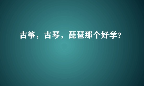 古筝，古琴，琵琶那个好学？