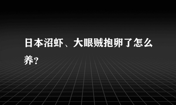 日本沼虾、大眼贼抱卵了怎么养？