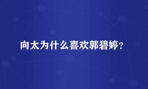 向太为什么喜欢郭碧婷？