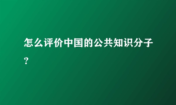 怎么评价中国的公共知识分子？