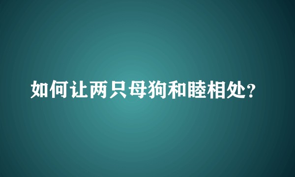 如何让两只母狗和睦相处？