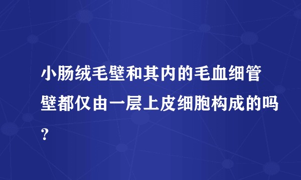 小肠绒毛壁和其内的毛血细管壁都仅由一层上皮细胞构成的吗？