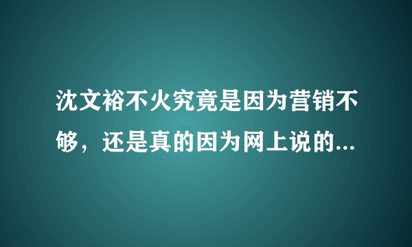 沈文裕不火究竟是因为营销不够，还是真的因为网上说的弹琴没有丝毫“音乐性”？