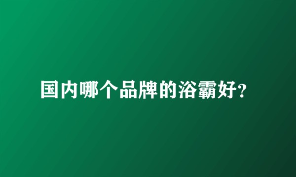 国内哪个品牌的浴霸好？