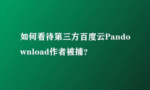 如何看待第三方百度云Pandownload作者被捕？