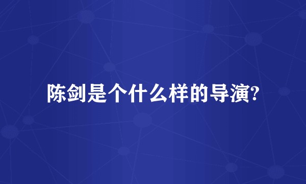 陈剑是个什么样的导演?