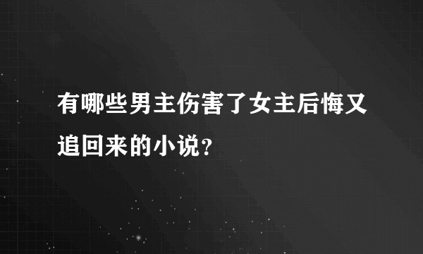 有哪些男主伤害了女主后悔又追回来的小说？