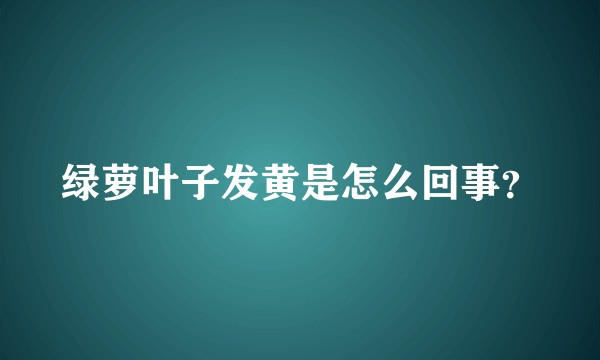 绿萝叶子发黄是怎么回事?