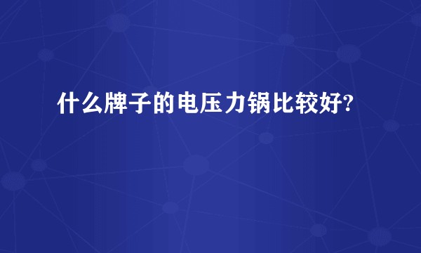 什么牌子的电压力锅比较好?