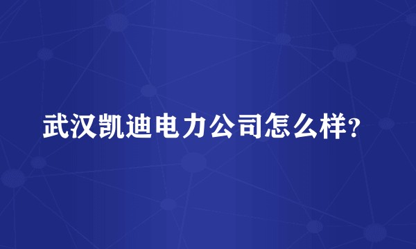 武汉凯迪电力公司怎么样？