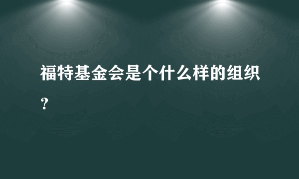 福特基金会是个什么样的组织？