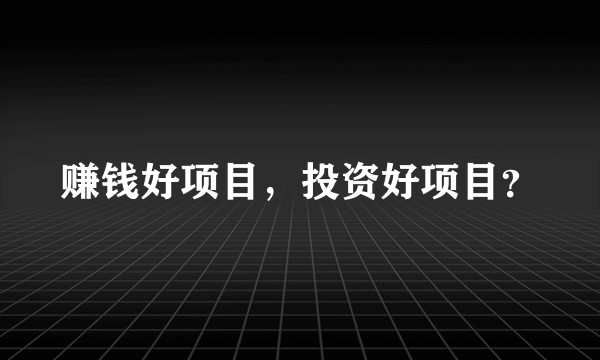 赚钱好项目，投资好项目？