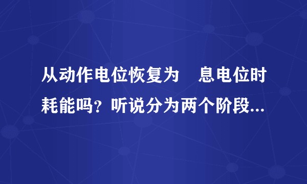 从动作电位恢复为靜息电位时耗能吗？听说分为两个阶段。钾离子外流和钠钾泵，第二阶段耗能吧。正确吗？