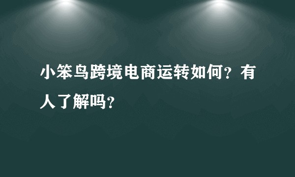 小笨鸟跨境电商运转如何？有人了解吗？