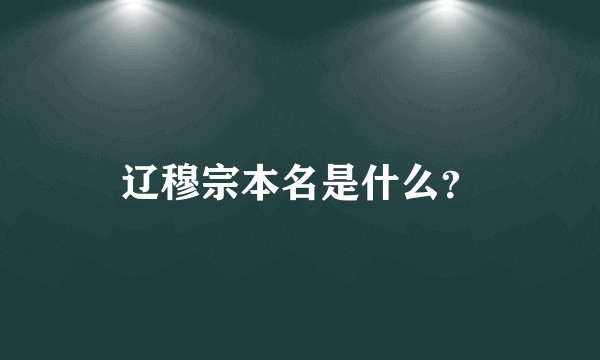 辽穆宗本名是什么？
