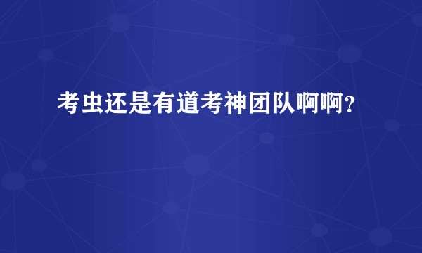 考虫还是有道考神团队啊啊？