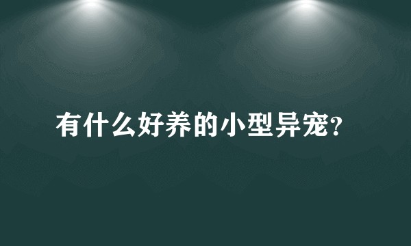 有什么好养的小型异宠？