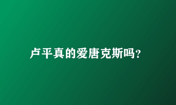 卢平真的爱唐克斯吗？