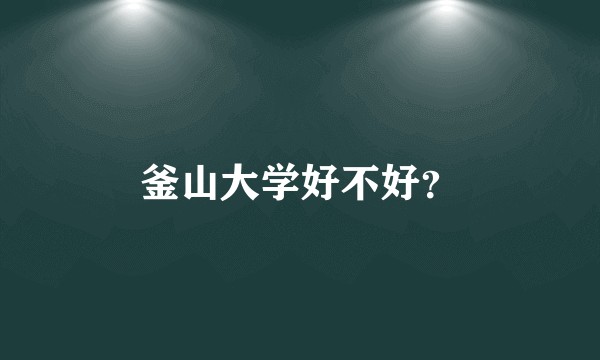 釜山大学好不好？