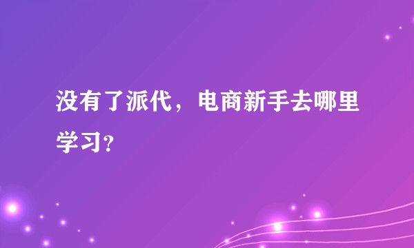 没有了派代，电商新手去哪里学习？