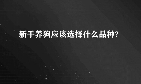 新手养狗应该选择什么品种?