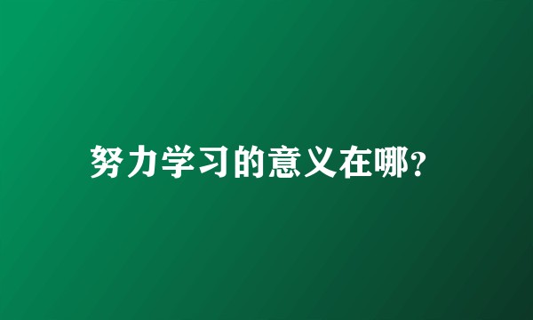 努力学习的意义在哪?