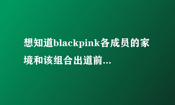 想知道blackpink各成员的家境和该组合出道前的故事都如何?