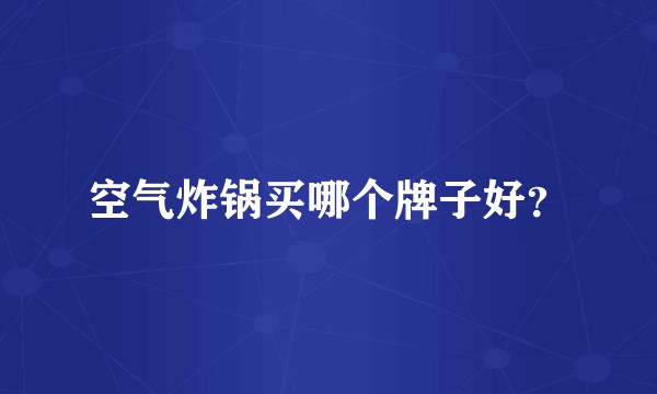 空气炸锅买哪个牌子好？