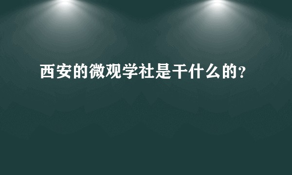 西安的微观学社是干什么的？