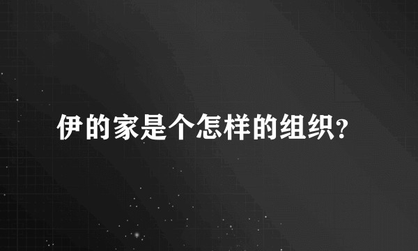 伊的家是个怎样的组织？