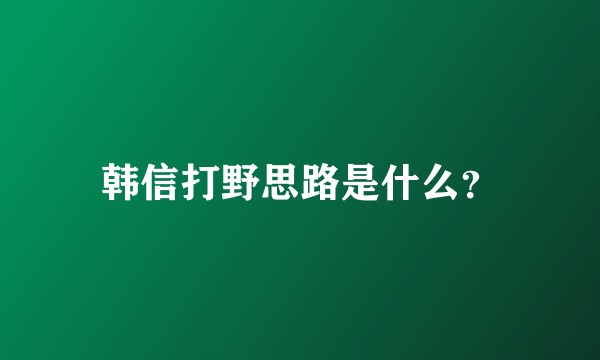 韩信打野思路是什么?