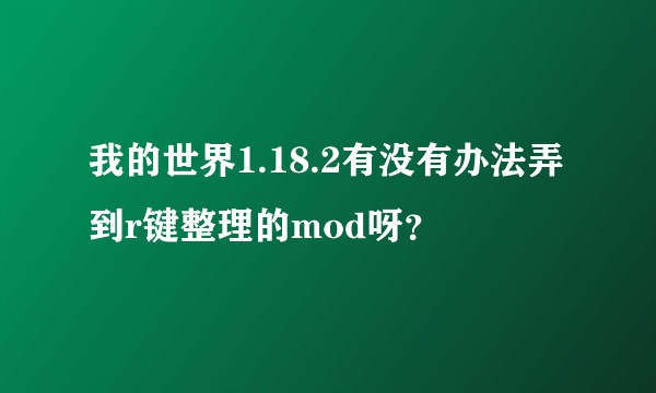 我的世界1.18.2有没有办法弄到r键整理的mod呀？