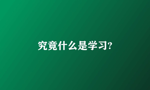 究竟什么是学习?