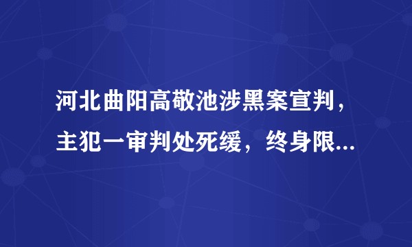 河北曲阳高敬池涉黑案宣判，主犯一审判处死缓，终身限制减刑，你对该案件有哪些评价？