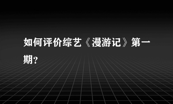 如何评价综艺《漫游记》第一期？