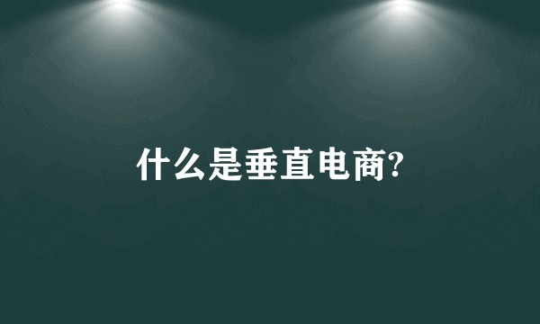 什么是垂直电商?