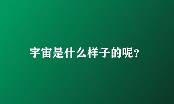 宇宙是什么样子的呢？