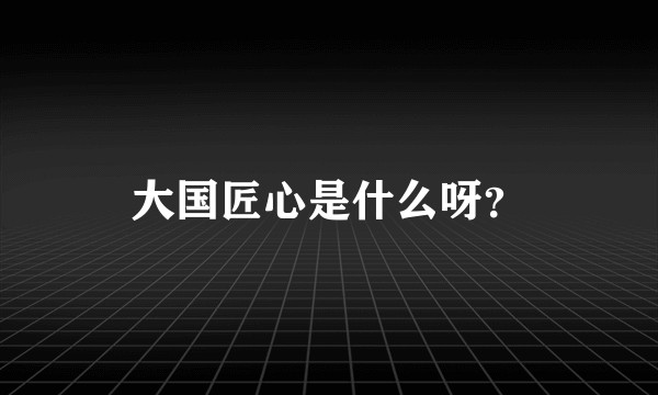 大国匠心是什么呀？