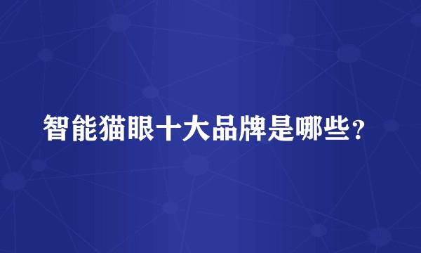 智能猫眼十大品牌是哪些？
