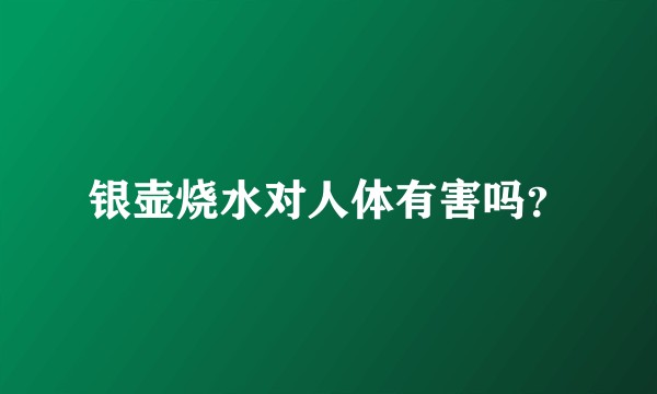 银壶烧水对人体有害吗？