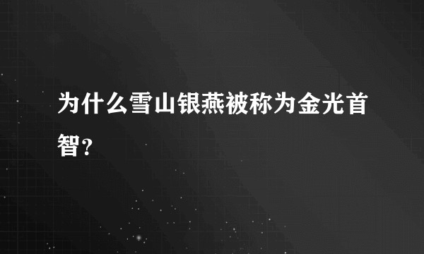 为什么雪山银燕被称为金光首智？