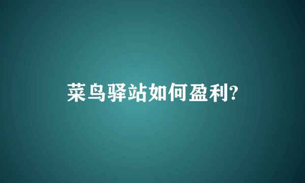 菜鸟驿站如何盈利?