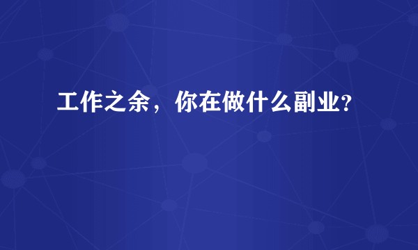 工作之余，你在做什么副业？