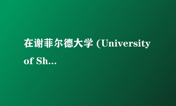 在谢菲尔德大学 (University of Sheffield) 就读是怎样一番体验？