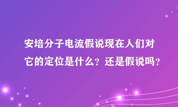 安培分子电流假说现在人们对它的定位是什么？还是假说吗？