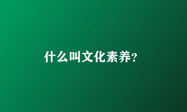 什么叫文化素养?