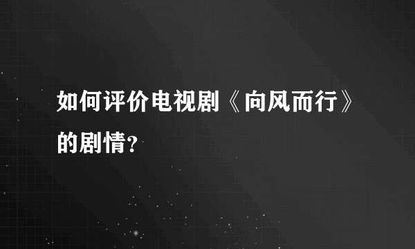 如何评价电视剧《向风而行》的剧情？